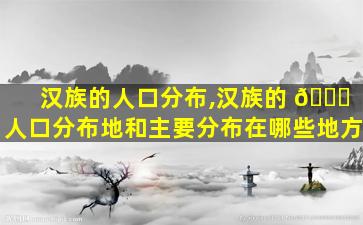 汉族的人口分布,汉族的 🐕 人口分布地和主要分布在哪些地方